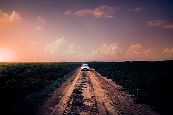 Sky, Cars, Road, Car, Field HD wallpaper