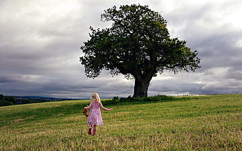 Miscellanea, Miscellaneous, Wood, Tree, Field, Girl, Mood HD wallpaper
