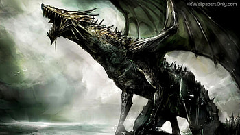 Dragon HD wallpaper