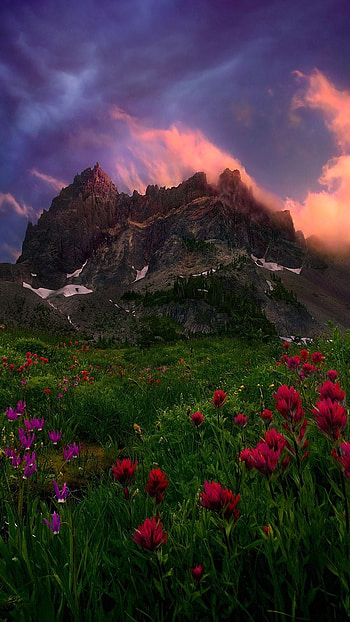 Beautiful For, Nature, Background HD phone wallpaper