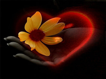 A heart in hand, hearts, art, love HD wallpaper