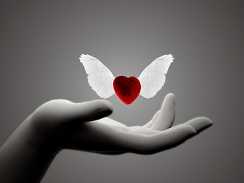 Holidays, Hearts, Love, Valentine's Day HD wallpaper