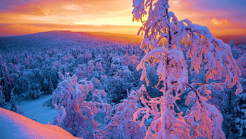Winter Landscape, sky, sunset, snow, clouds, colors, trees HD wallpaper
