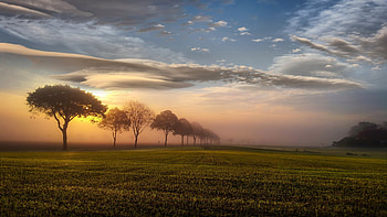 Foggy Sunset, clouds, trees, landscape, sky HD wallpaper