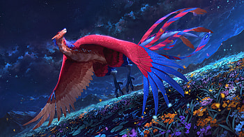 Time Bird , artist, artwork, digital-art, deviantart HD wallpaper
