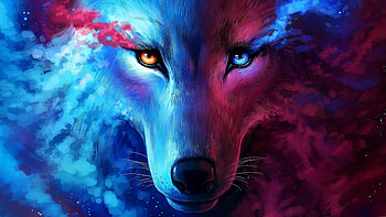 Galaxy wolf, Cosmic artwork, Dreamlike vibes, Celestial creature HD wallpaper