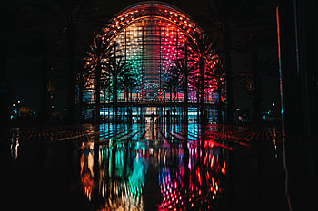 Palms, Building, Dark, Multicolored, Motley HD wallpaper