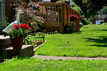 Spring In The Neighborhood, springtime, spring flowers, pretty flowers, spring scene HD wallpaper