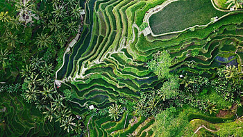 Beautiful Bali, Microsoft , hub collection, Visual delights HD wallpaper
