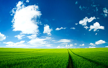 Summer Scenery | HD wallpaper