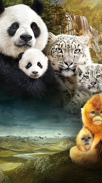Born in China (2022) movie HD phone wallpaper
