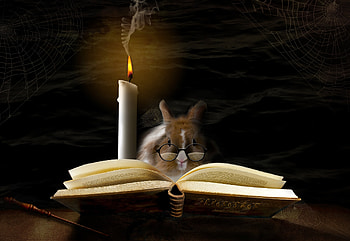 :), bunny, book, fantasy, art, alberto bissacco, glasses, rabbit, dark, candle HD wallpaper