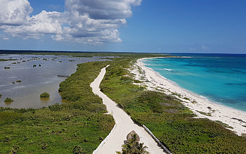 Cozumel beauty, Tropical oasis, Mexico's best, Unspoiled paradise HD wallpaper