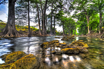 River-R, river, great, graphy, colors, beauty, nice, scenery, trees, amazing, water, landscape, r, beautiful, grass, stones, river shore, pretty, cool, nature, sky, lovely HD wallpaper
