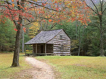 Cabin in the forest, in, the, forest, Cabin HD wallpaper