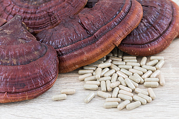 Health benefits, Reishi mushrooms, Wondrous health, Twigs cafe HD wallpaper