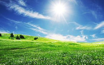 Landscape, Grass, Sky, Sun HD wallpaper