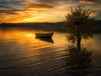 Orange Sunset Over the Lake, boat, trees, sky, nature, orange, lake, sunset HD wallpaper