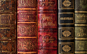 190 book , Bibliophile's dream, Reading nook, Bookish paradise HD wallpaper