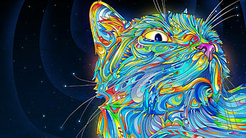 Cat, Pop Art HD wallpaper