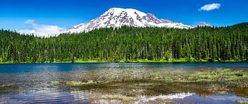 Washington State Travels - Mount Rainier National Park HD wallpaper