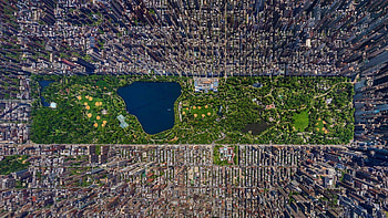 Central Park scenery, Nature's wonder, Tranquil landscapes, Urban oasis HD wallpaper