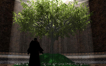 The Last Tree, sun, light, man, tree HD wallpaper
