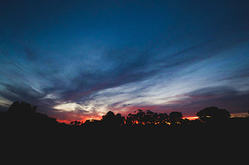 Trees, Sunset, Sky, Clouds, Horizon, Dark HD wallpaper