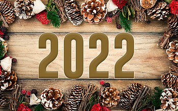 Happy New Year!, pine cones, wooden, 2022, new year HD wallpaper