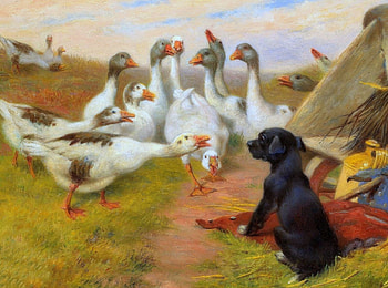 A Small Guard, love four seasons, animals, dogs, draw and paint, paintings, geese HD wallpaper