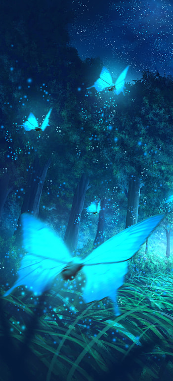 butterfly, Anime, night, anime night HD phone wallpaper