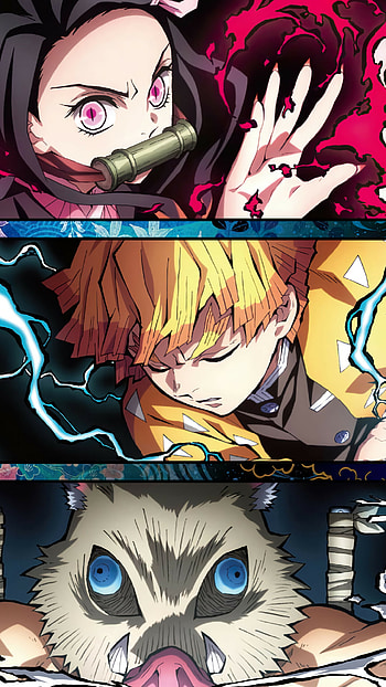 Demon Slayer: Kimetsu no Yaiba — Nezuko, Zenitsu & Inosuke , Anime, Demon Slayer: Kimetsu no Yaiba HD phone wallpaper