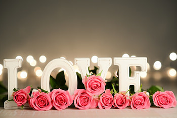 Love, rose, roses, petals, with love, nature, flowers, valentines day HD wallpaper