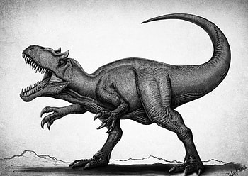 Allosaurus, ArtStation fragilis, Mesozoic marvel, Artistic interpretation HD wallpaper