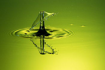 Macro, Splash, Liquid, Drop HD wallpaper