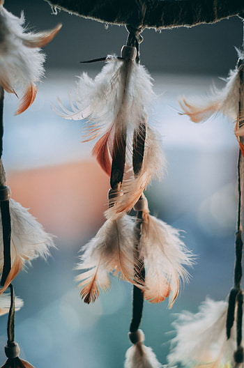 Feather, Macro, Suspension, Decoration HD phone wallpaper