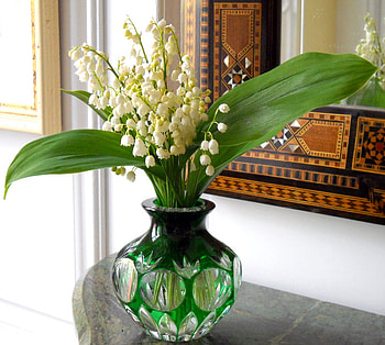 still life, vase, decor, flowers, home HD wallpaper