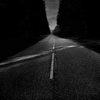Nature, Trees, Road, Asphalt, Bw, Chb HD phone wallpaper