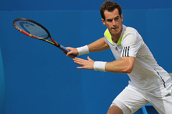 Andy Murray, Tennis HD wallpaper
