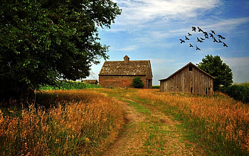 Iowa scenery, Nature , Rural landscapes, Beautiful Iowa HD wallpaper