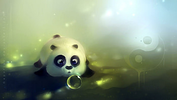Playful pandas, Bamboo munching, Panda sanctuary, Endangered species HD wallpaper