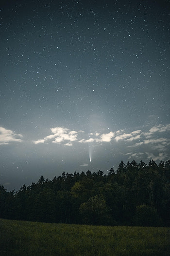 Nature, Trees, Night, Starry Sky, Starfall HD phone wallpaper