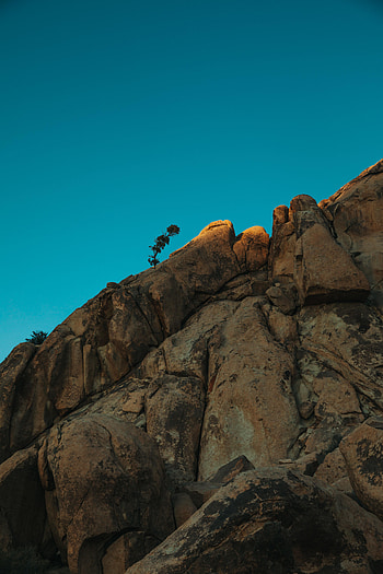 Nature, Sky, Rocks, Plant, Minimalism HD phone wallpaper