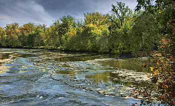 River, forests, nature, rocks, rivers HD wallpaper