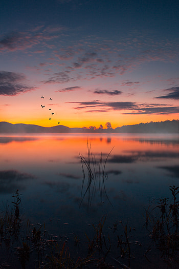 Landscape, Nature, Sunset, Twilight, Lake, Fog, Dusk HD phone wallpaper