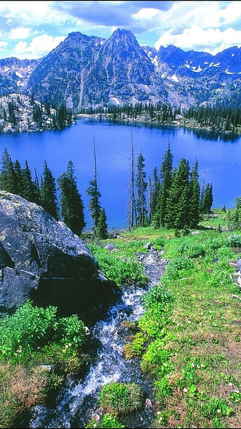 Springs, Blue River HD phone wallpaper