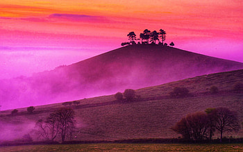 A misty morning near Colmers Hill in Dorset, England, landscape, trees, colors, sky HD wallpaper