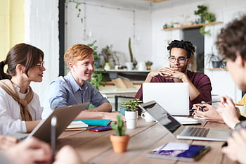 A diverse group of adults collaborating in a modern office setting with laptops and plants. HD wallpaper