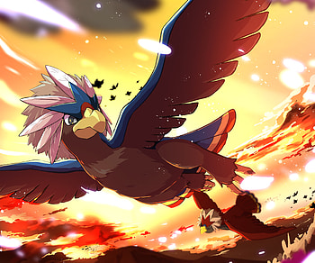 Braviary - Pokémon, Braviary (Pokémon), Anime, Pokemon HD wallpaper