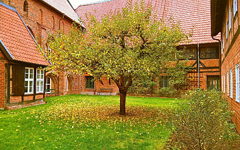 Monastery Garden, monastery, garden, Germany, tree HD wallpaper
